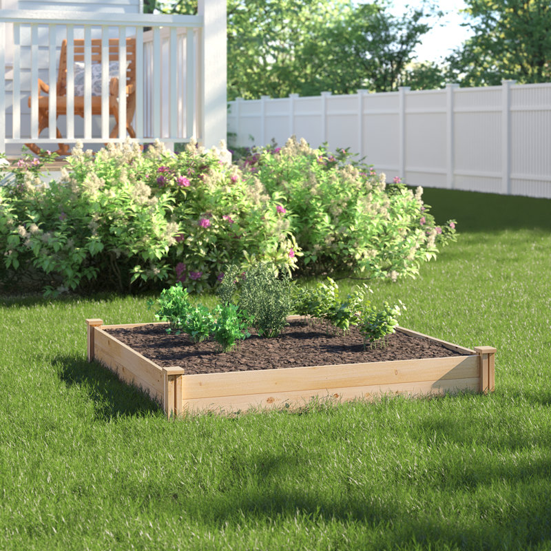 Sol 72 Outdoor Dyllan 4 ft x 4 ft Raised Garden Reviews Wayfair